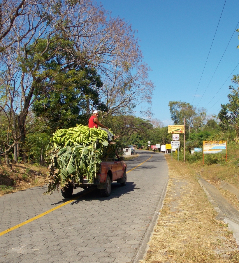 Plantain truck - Ometepe's main crop