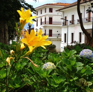 Flowers in Popayans main square